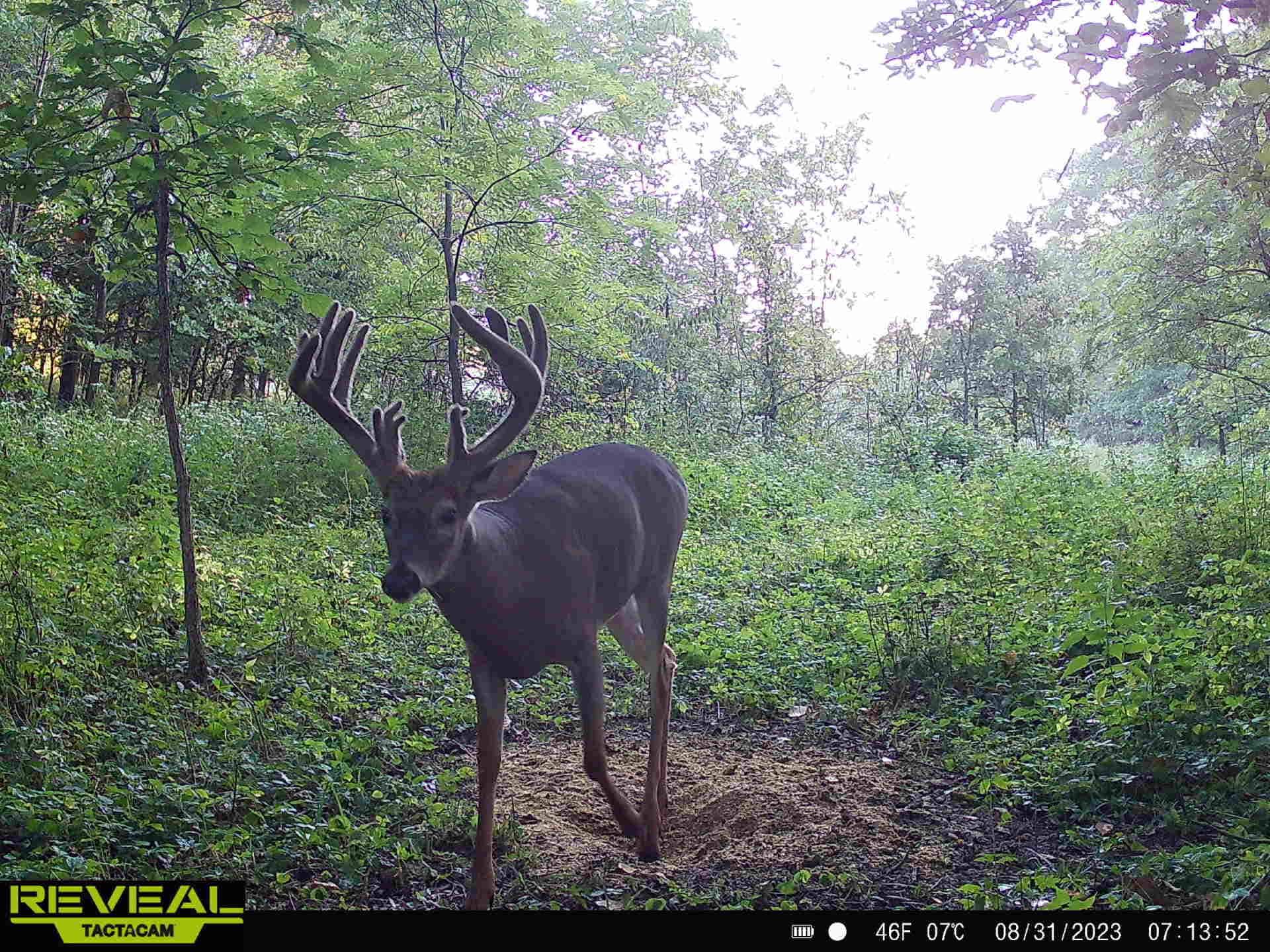 F8F2EAE6-2E35-4BFA-A63C-33F55323F80D