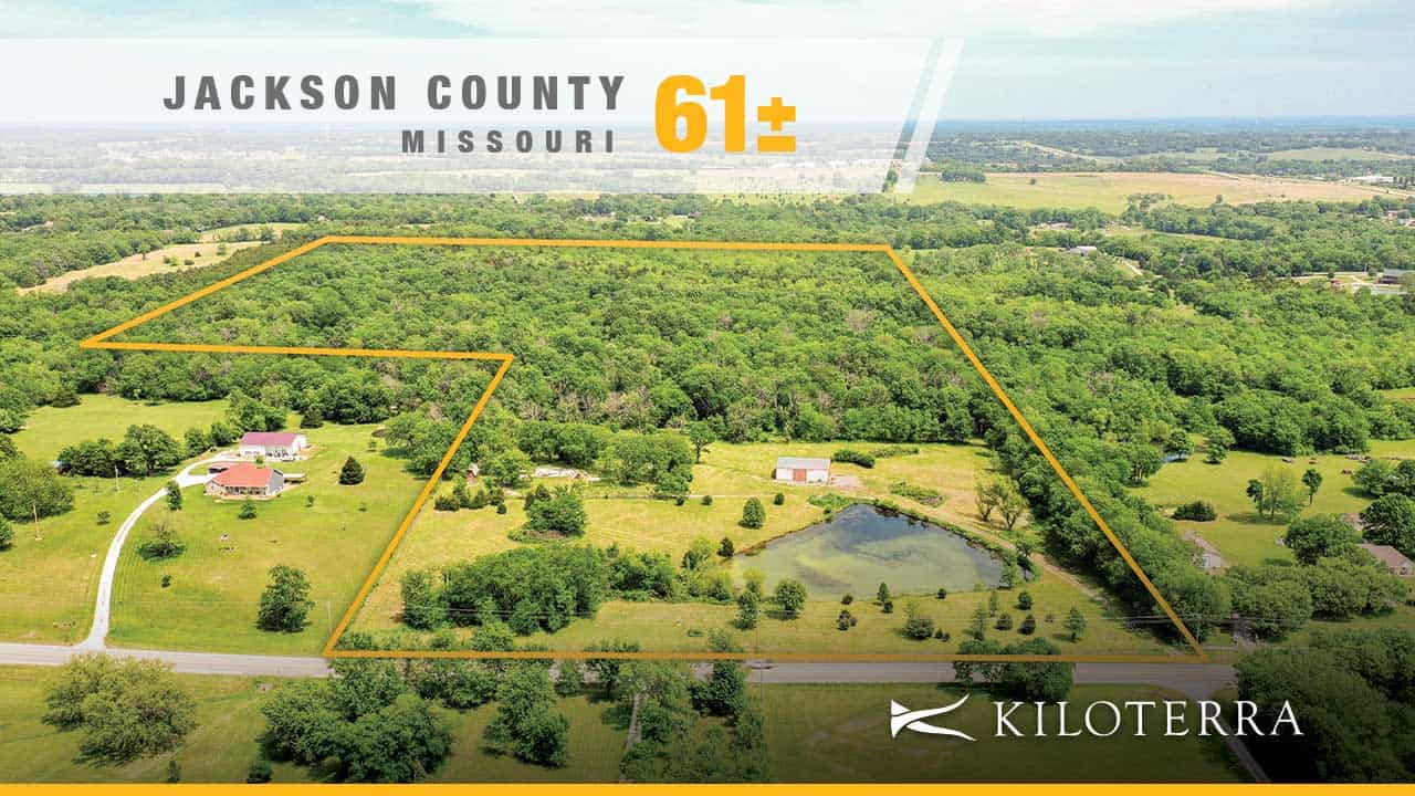 JACKSON_61_1st-Image Build-Ready Estate & Recreational Retreat with Scenic Ponds