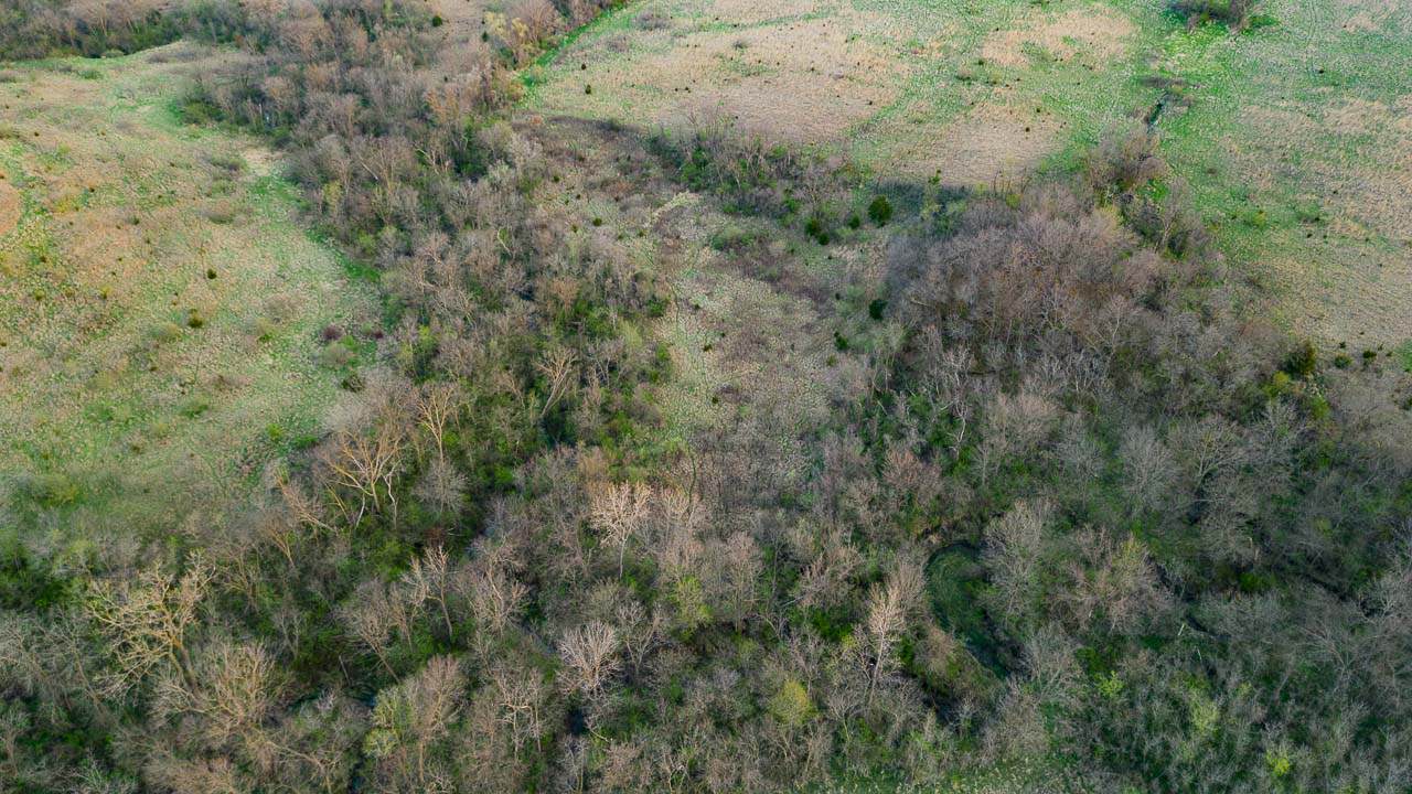 DJI_0052 Secluded 120± Acre Recreational Farm with Exceptional Habitat & Long-Term Investment