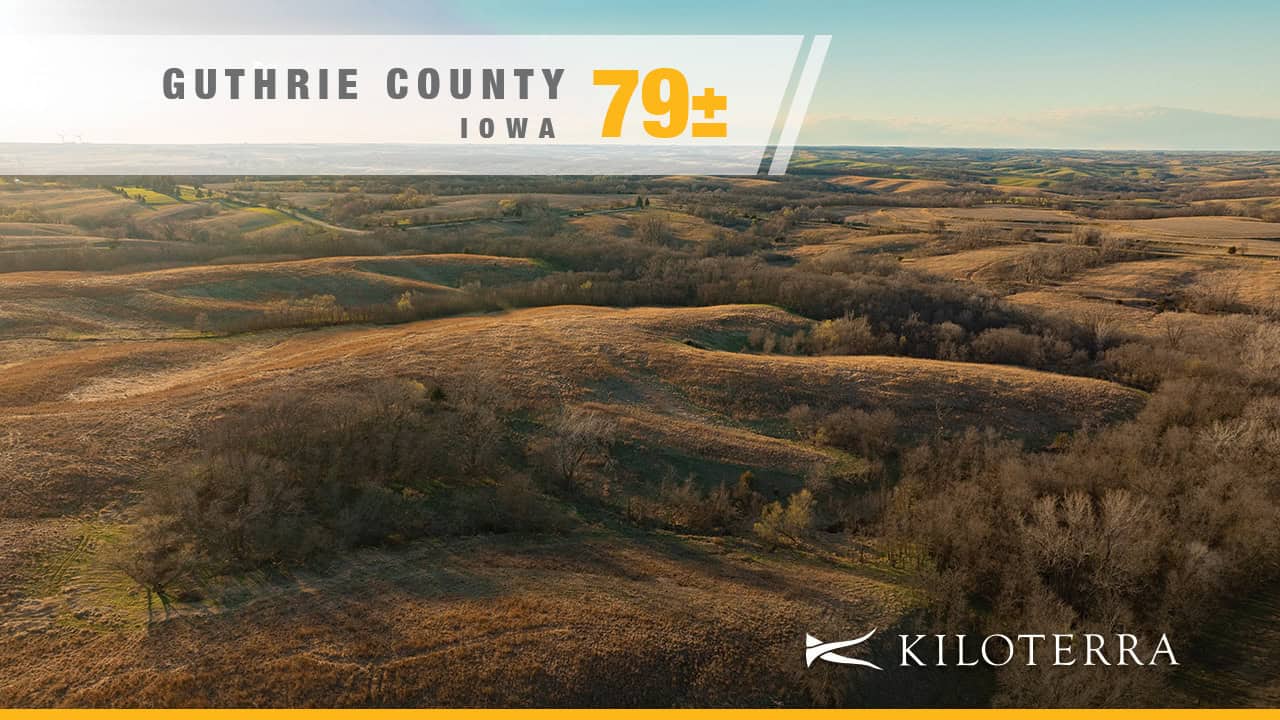 GUTHRIE_79_1st-Image