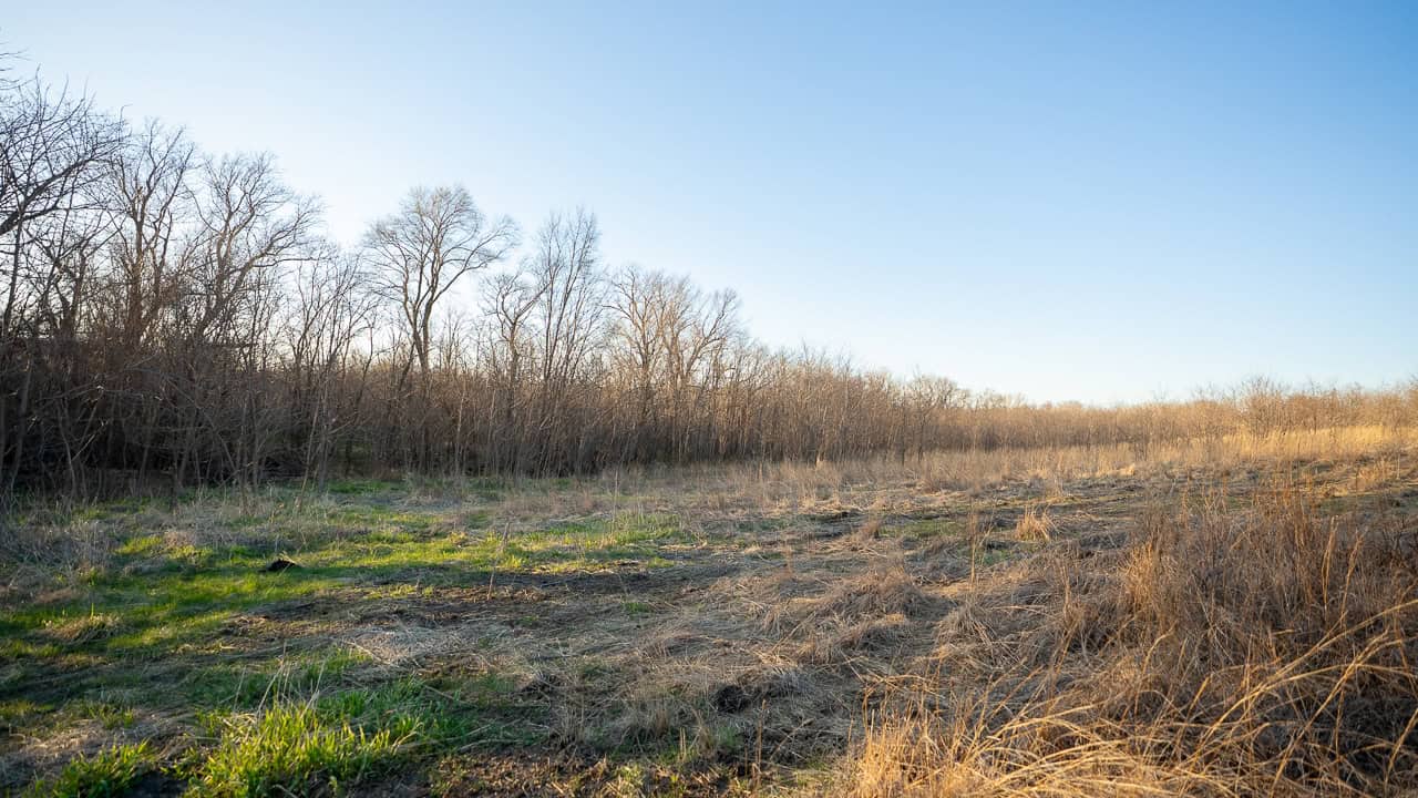 Guthrie_County_Iowa_79_Acres_Land_For_Sale-14