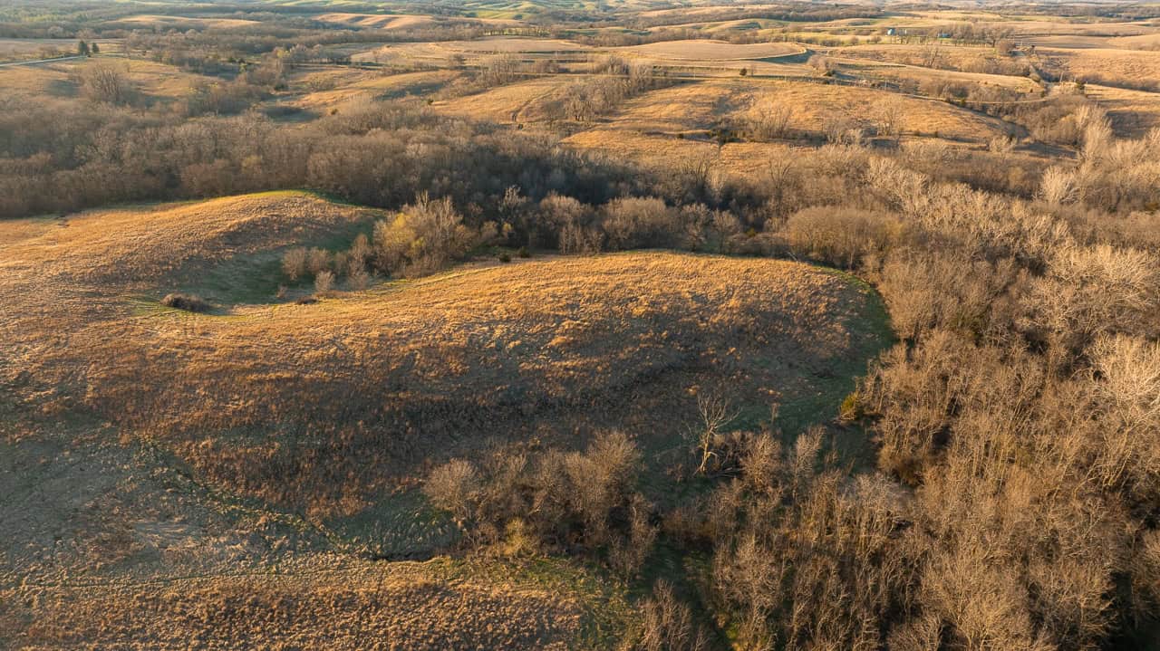 Guthrie_County_Iowa_79_Acres_Land_For_Sale-16