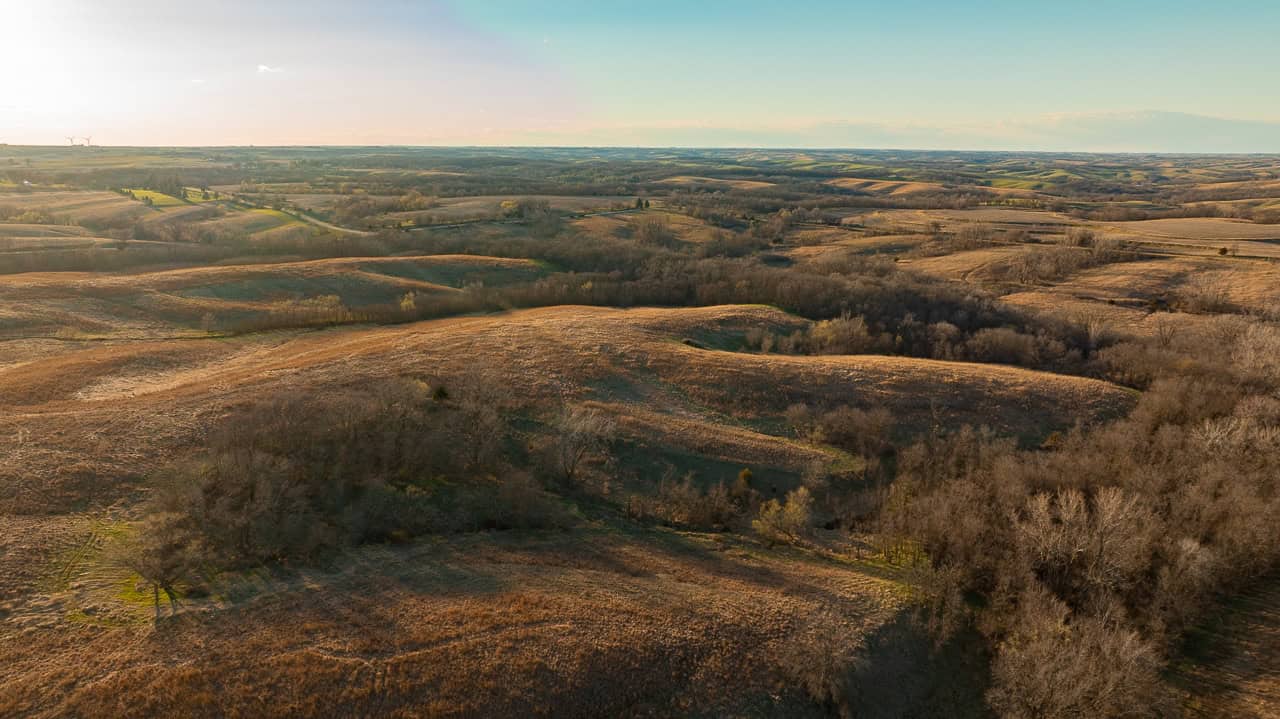 Guthrie_County_Iowa_79_Acres_Land_For_Sale-17