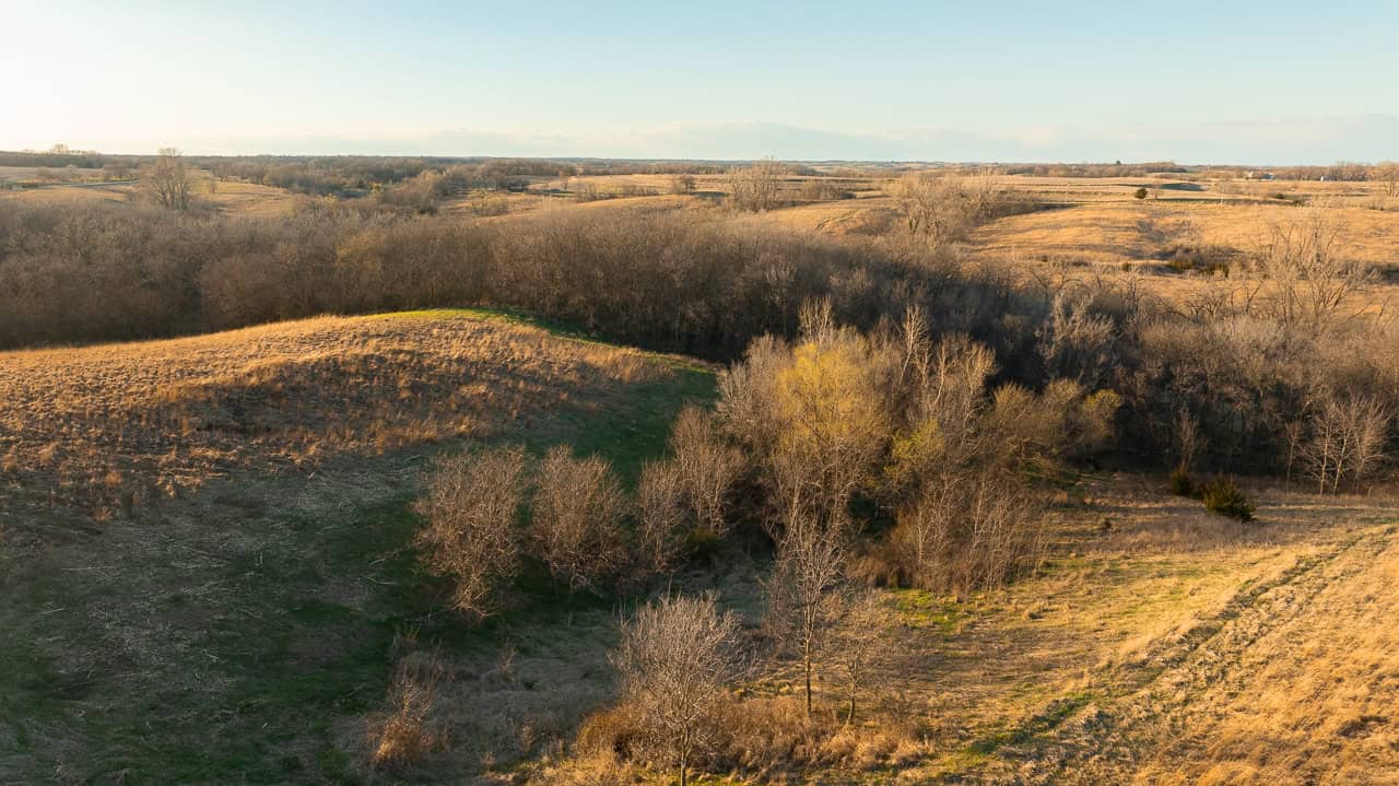 Guthrie_County_Iowa_79_Acres_Land_For_Sale-19
