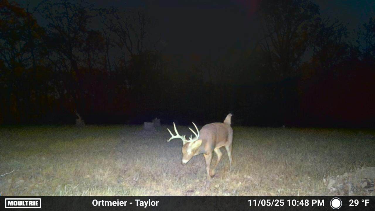 MOULTRIE DIGITAL CAMERA Affordable Wooded Acreage in SW Iowa