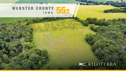 Webster County Hidden Gem With Income