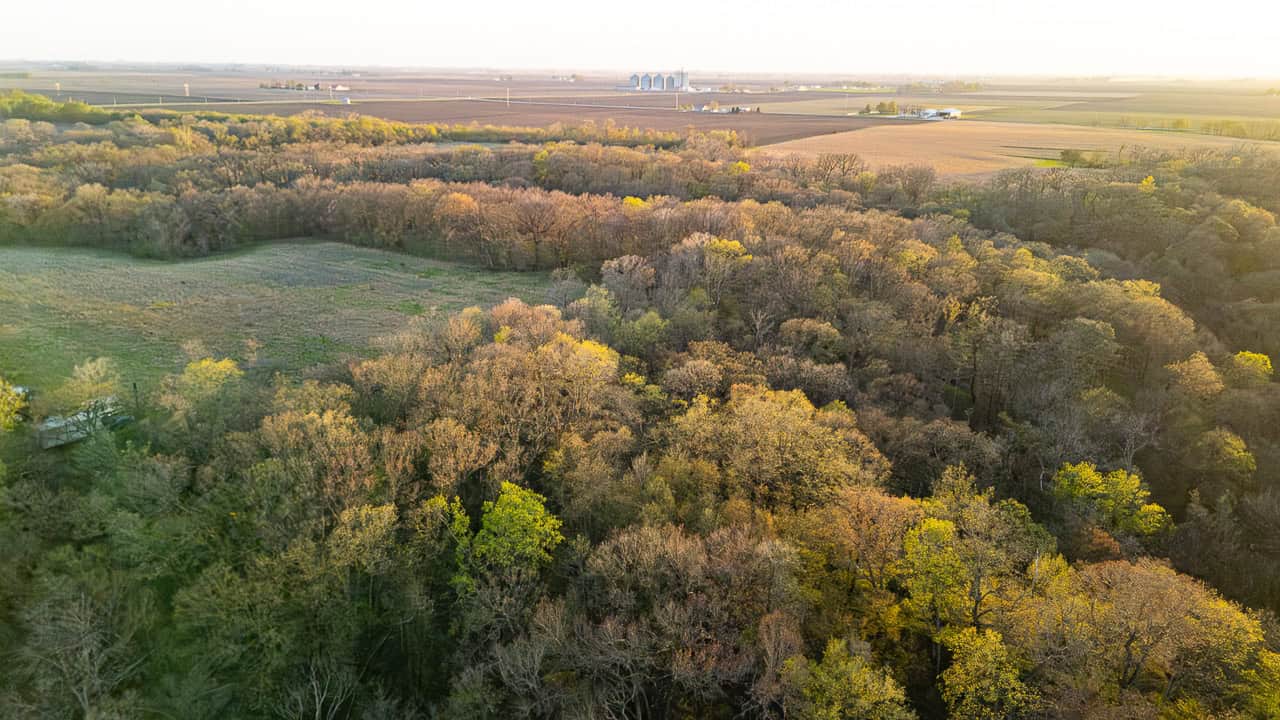 default Webster County Hidden Gem With Income