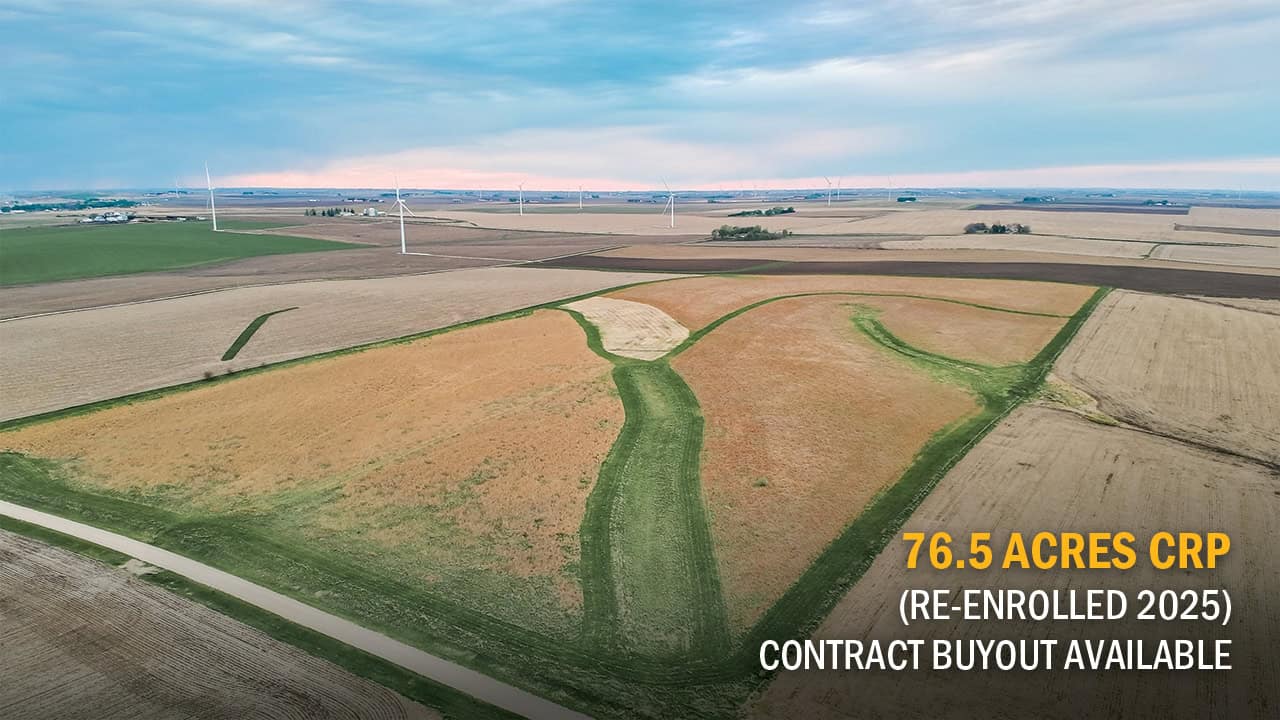 SAC_80_CRP_Image Prime Sac County Farmland & Recreational Retreat Near Odebolt, IA
