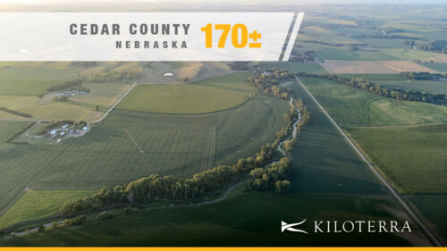 The Hartington 170 | Productive Cropland, Bow Creek & Hunting in Cedar County Nebraska