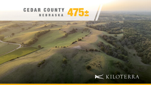 The Hartington 475 | A Premier Northeast Nebraska Landholding