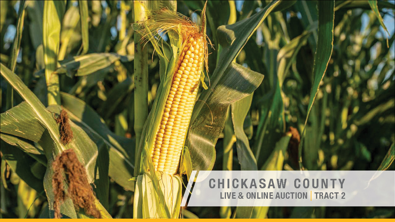 Chickasaw County_Iowa_38_acres_Land_Auctionjpg27 CHICKASAW COUNTY, IOWA LAND AUCTION 110.36 ACRES M/L – OFFERED IN TWO TRACTS