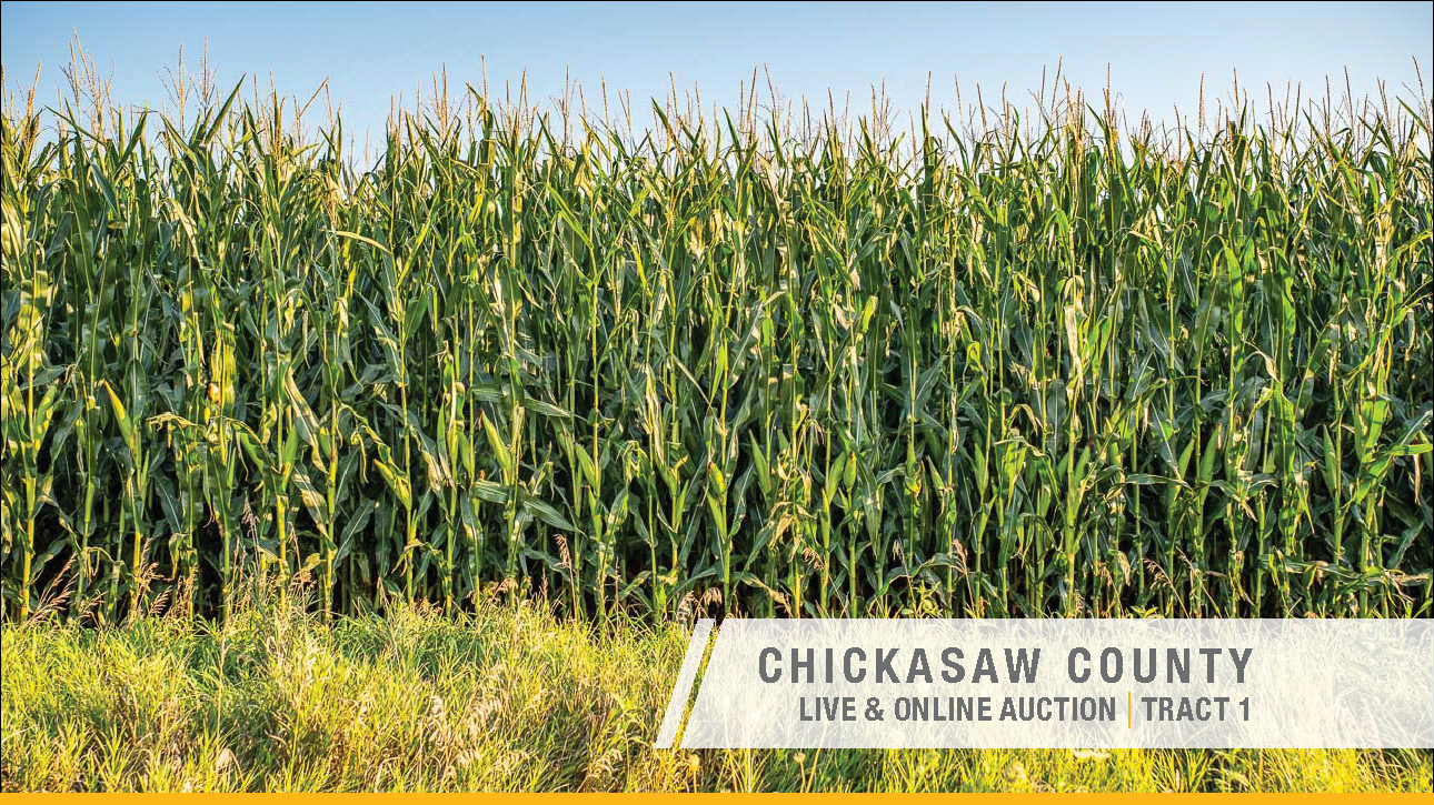 Chickasaw County_Iowa_72_acres_Land_Auction4 CHICKASAW COUNTY, IOWA LAND AUCTION 110.36 ACRES M/L – OFFERED IN TWO TRACTS