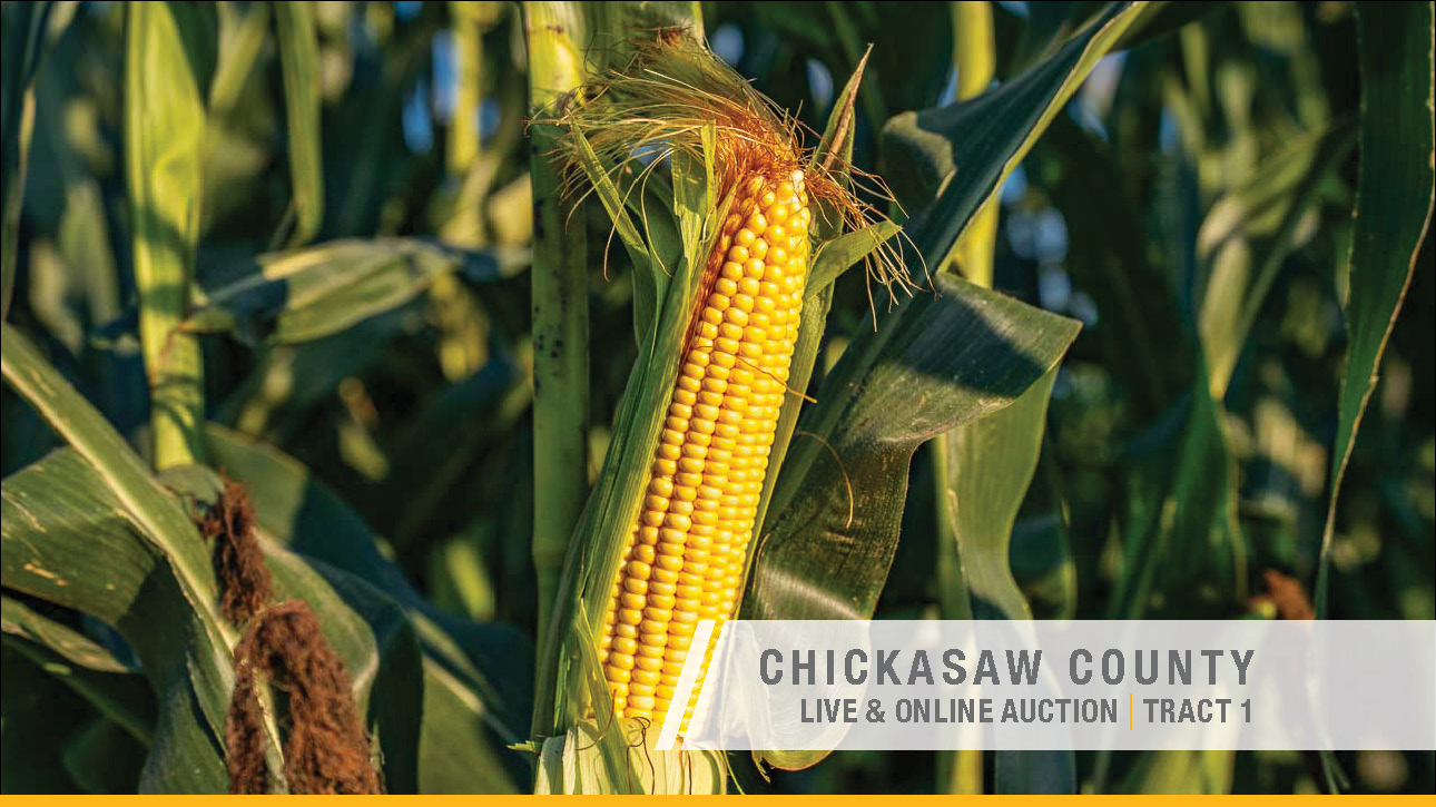 Chickasaw County_Iowa_72_acres_Land_Auction6 CHICKASAW COUNTY, IOWA LAND AUCTION 110.36 ACRES M/L – OFFERED IN TWO TRACTS